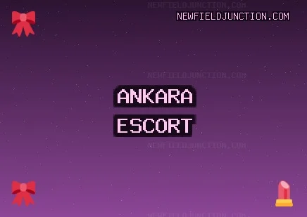 Ankara Escort: Polatlı Escort, Akyurt Escort, Mamak Escort