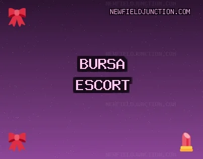 Bursa Escort: Orhangazi Escort, Nilüfer Escort, Harmancık Escort